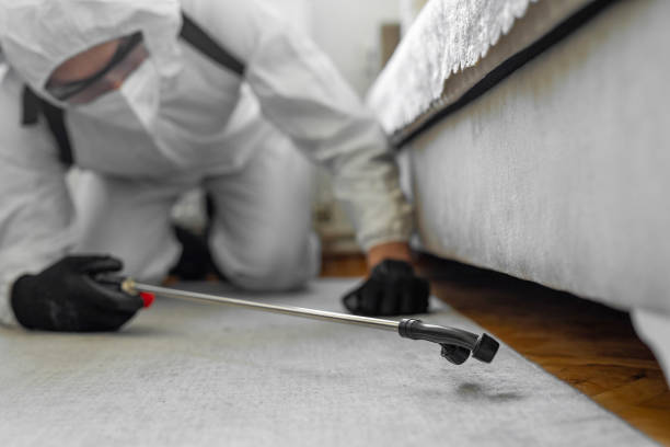 Professional Mosquito Control technician working in South Floral Park, NY