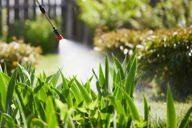 24/7 Emergency Mosquito Control experts in South Floral Park, NY