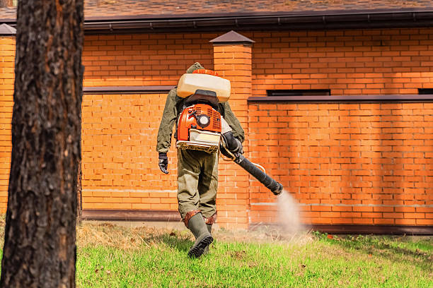 Trusted Mosquito Control service in South Floral Park, NY - Nex Pest Control